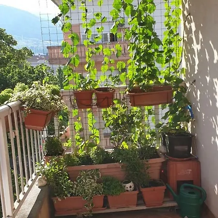Apartman Lili Apartament *